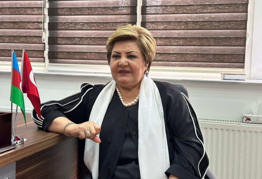 Diaspora işini daima hansısa qurumun nəzarətində saxlamaq olmur    - Millət vəkili