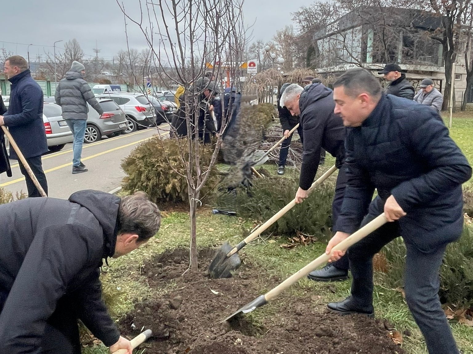 Kişineuda "Xarıbülbül" Azərbaycan-Moldova dostluq    xiyabanı salınıb