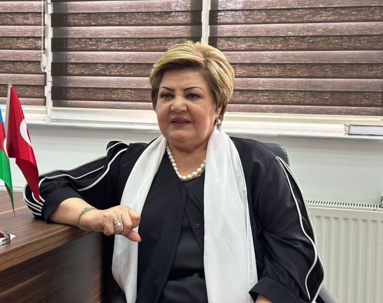 Diaspora işini daima hansısa qurumun nəzarətində saxlamaq olmur    - Millət vəkili