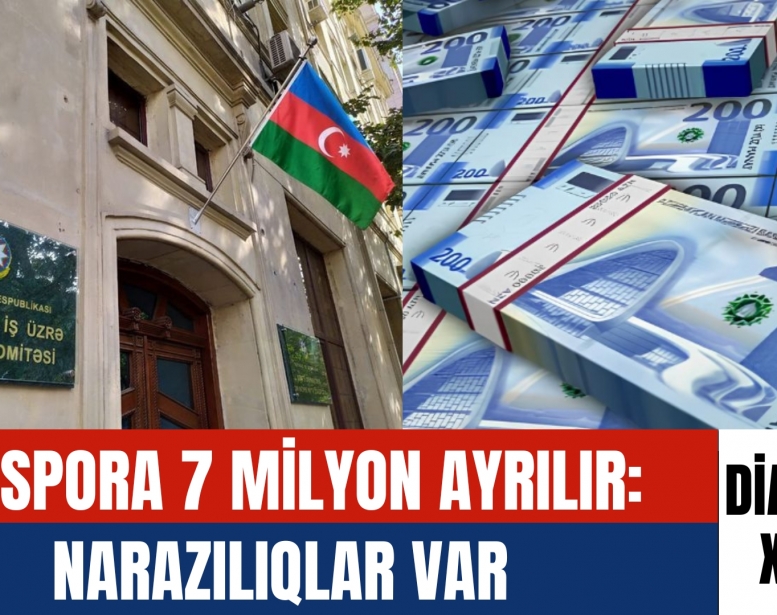 Diaspora 7 milyon ayrılır:    Narazılıqlar var